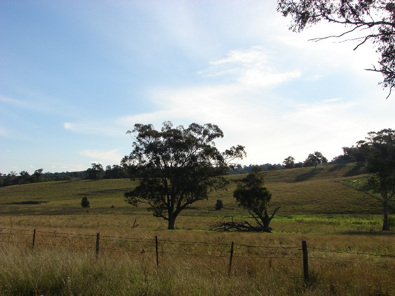 810 Muscle Creek Road, Muswellbrook NSW 2333
