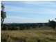 810 Muscle Creek Road, Muswellbrook NSW 2333