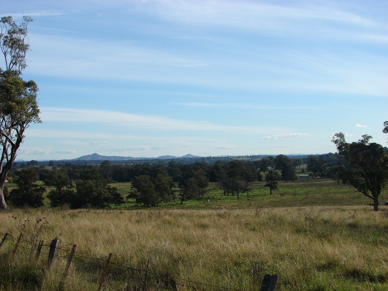 810 Muscle Creek Road, Muswellbrook NSW 2333