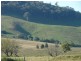 810 Muscle Creek Road, Muswellbrook NSW 2333