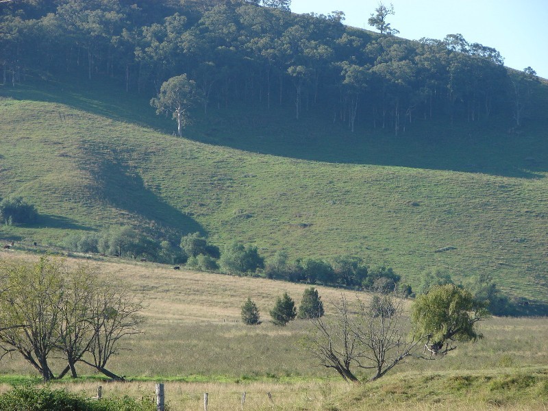 810 Muscle Creek Road, Muswellbrook NSW 2333