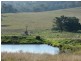 810 Muscle Creek Road, Muswellbrook NSW 2333