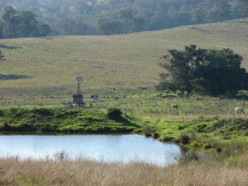 810 Muscle Creek Road, Muswellbrook NSW 2333