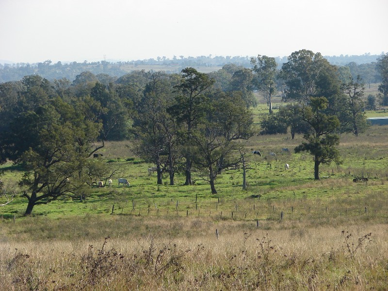 810 Muscle Creek Road, Muswellbrook NSW 2333