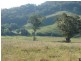 810 Muscle Creek Road, Muswellbrook NSW 2333