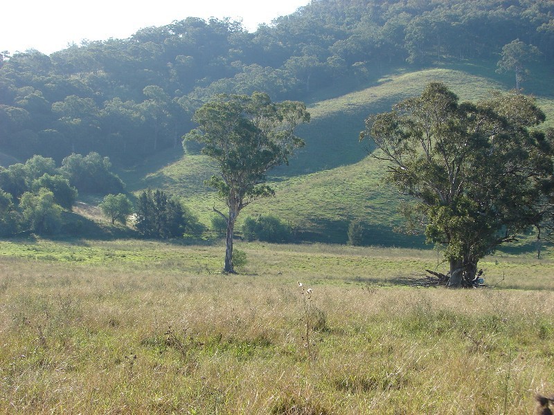 810 Muscle Creek Road, Muswellbrook NSW 2333