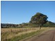 810 Muscle Creek Road, Muswellbrook NSW 2333