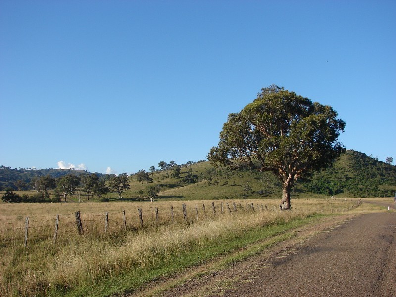 810 Muscle Creek Road, Muswellbrook NSW 2333