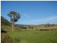810 Muscle Creek Road, Muswellbrook NSW 2333