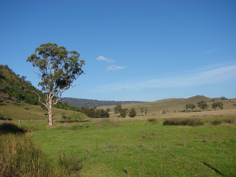 810 Muscle Creek Road, Muswellbrook NSW 2333