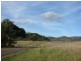 810 Muscle Creek Road, Muswellbrook NSW 2333