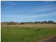 810 Muscle Creek Road, Muswellbrook NSW 2333