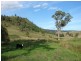810 Muscle Creek Road, Muswellbrook NSW 2333