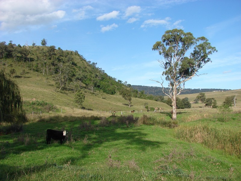 810 Muscle Creek Road, Muswellbrook NSW 2333