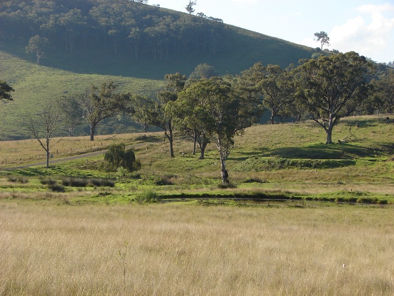 810 Muscle Creek Road, Muswellbrook NSW 2333