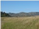 810 Muscle Creek Road, Muswellbrook NSW 2333