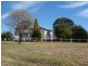 810 Muscle Creek Road, Muswellbrook NSW 2333