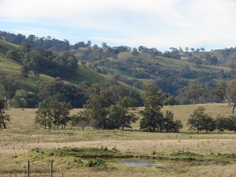 810 Muscle Creek Road, Muswellbrook NSW 2333