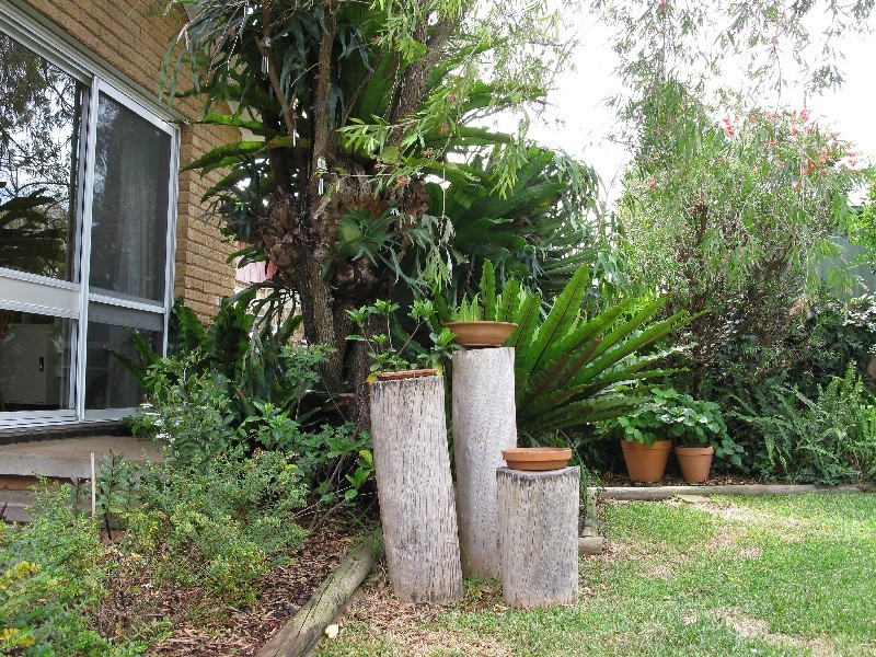 39 Cabernet Street, Muswellbrook NSW 2333