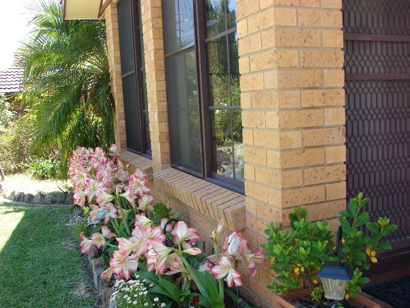 8 Cedar Close, Muswellbrook NSW 2333