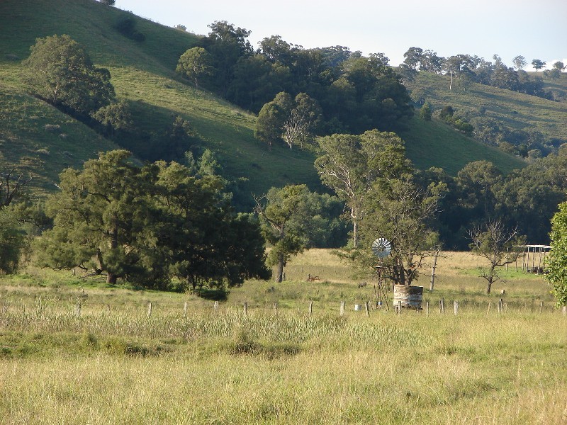 810 Muscle Creek Road, Muswellbrook NSW 2333