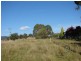 810 Muscle Creek Road, Muswellbrook NSW 2333
