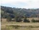 810 Muscle Creek Road, Muswellbrook NSW 2333