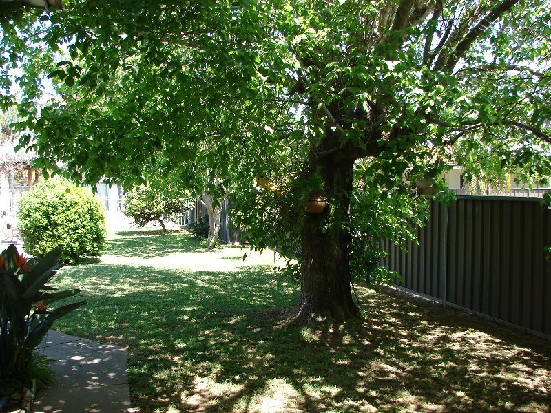7 Fleming Street, Muswellbrook NSW 2333