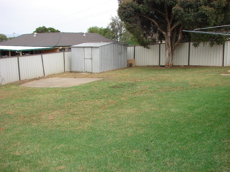 123 Graeme Street, Aberdeen NSW 2336