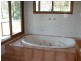 1000 Sandy Creek Road, Muswellbrook NSW 2333