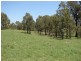 1000 Sandy Creek Road, Muswellbrook NSW 2333