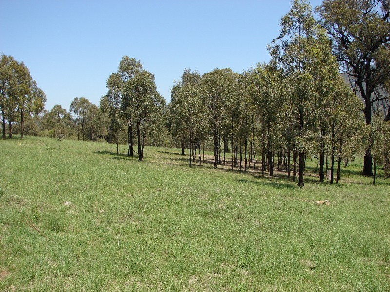 1000 Sandy Creek Road, Muswellbrook NSW 2333