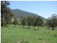 1000 Sandy Creek Road, Muswellbrook NSW 2333