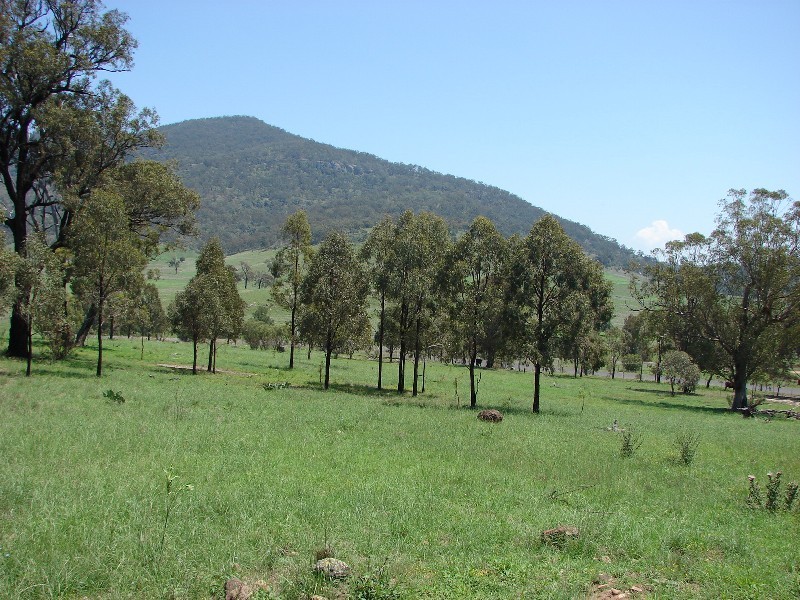 1000 Sandy Creek Road, Muswellbrook NSW 2333