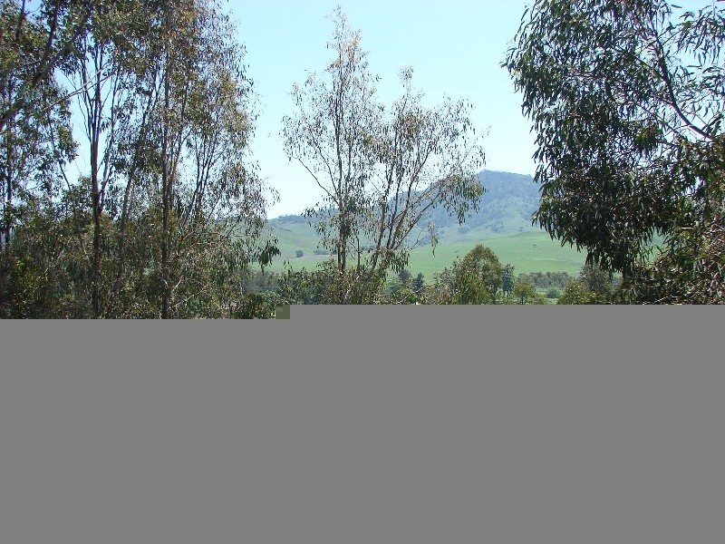 1000 Sandy Creek Road, Muswellbrook NSW 2333