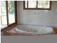 1000 Sandy Creek Road, Muswellbrook NSW 2333