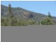 1000 Sandy Creek Road, Muswellbrook NSW 2333