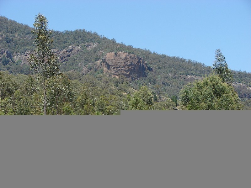 1000 Sandy Creek Road, Muswellbrook NSW 2333