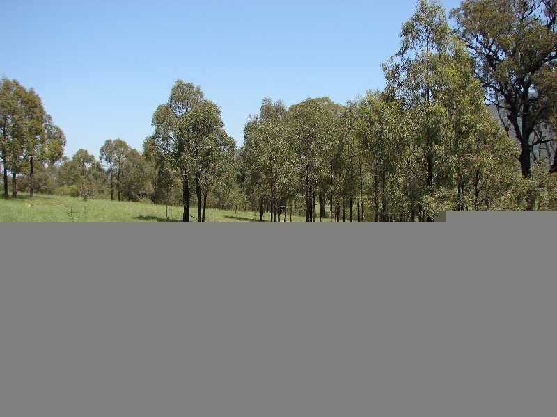 1000 Sandy Creek Road, Muswellbrook NSW 2333