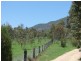 1000 Sandy Creek Road, Muswellbrook NSW 2333
