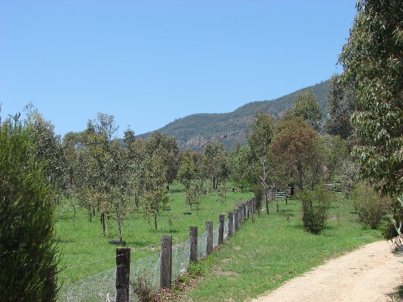 1000 Sandy Creek Road, Muswellbrook NSW 2333