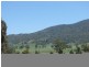 1000 Sandy Creek Road, Muswellbrook NSW 2333