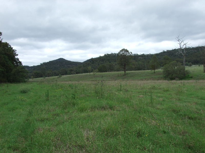 191 Baerami Creek Road, Baerami Creek NSW 2333