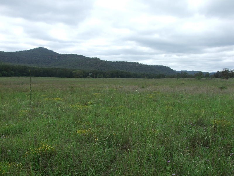 191 Baerami Creek Road, Baerami Creek NSW 2333