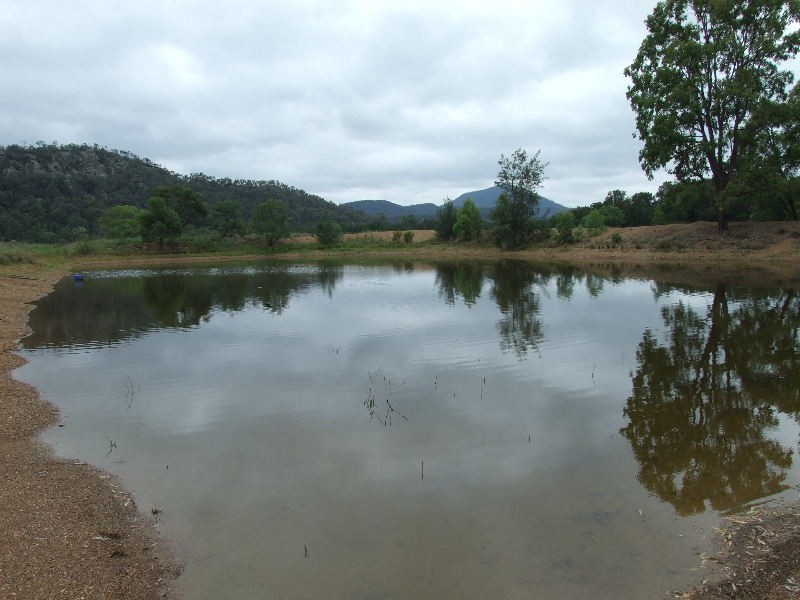 191 Baerami Creek Road, Baerami Creek NSW 2333