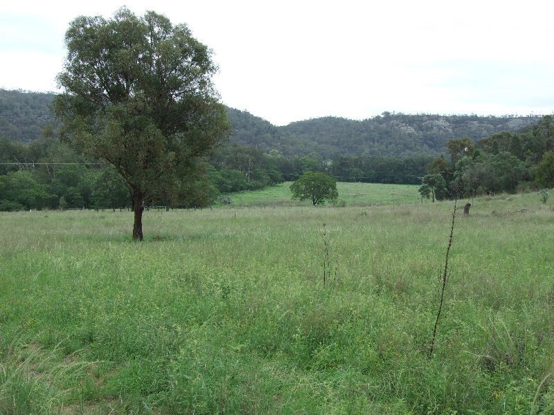 191 Baerami Creek Road, Baerami Creek NSW 2333