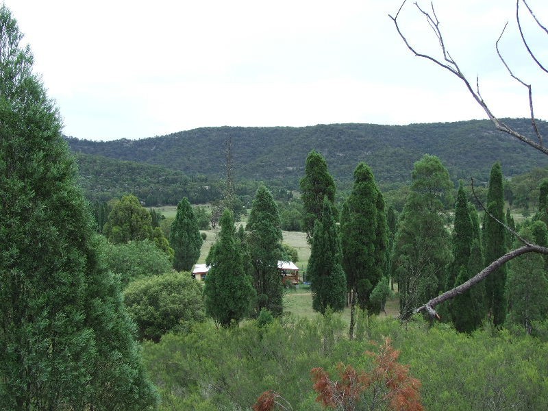 130 Giants Creek Road, Sandy Hollow NSW 2333