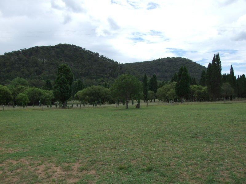 130 Giants Creek Road, Sandy Hollow NSW 2333