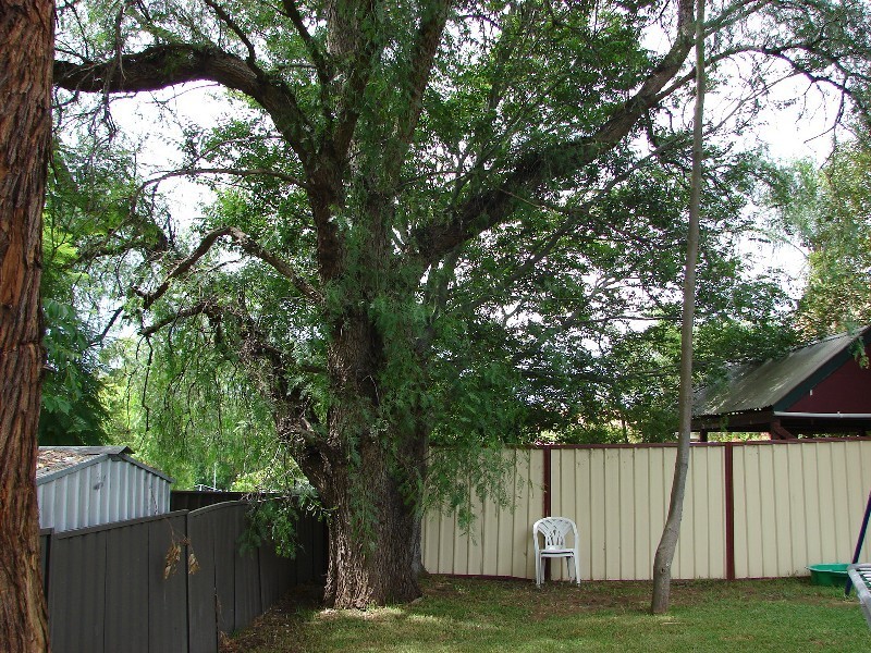 12 Ooranga Ave, Muswellbrook NSW 2333