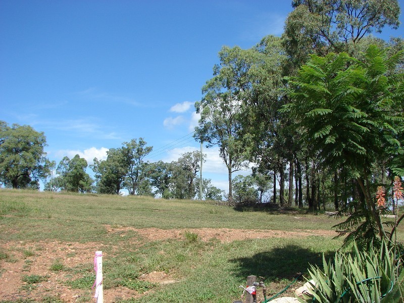 Lot 48 Wollombi Road, Muswellbrook NSW 2333